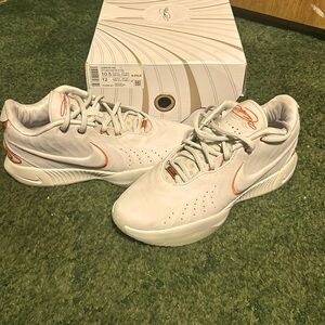 Lebron xxl size 10.5  have been worn one time